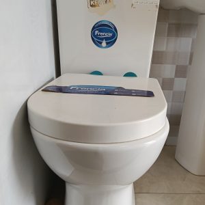 P-Trap Toilet Close Couple White