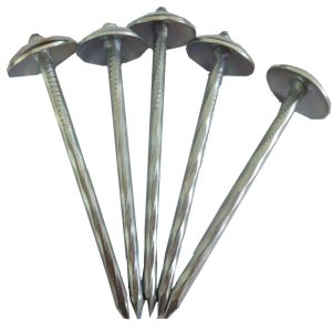 Roofing Nails 1kg